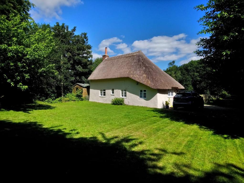 多切斯特Honeysuckle Cottage的白色的小房子,带有茅草屋顶