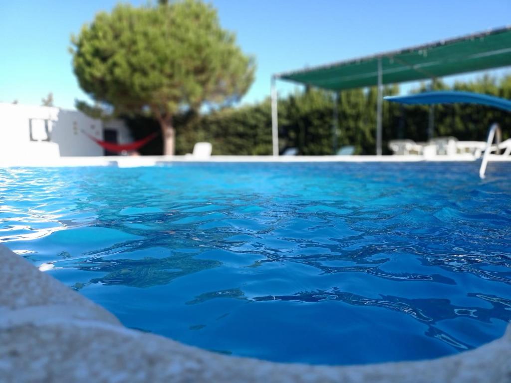 奇克拉纳－德拉弗龙特拉SOLECITO的度假村内的一个蓝色海水游泳池