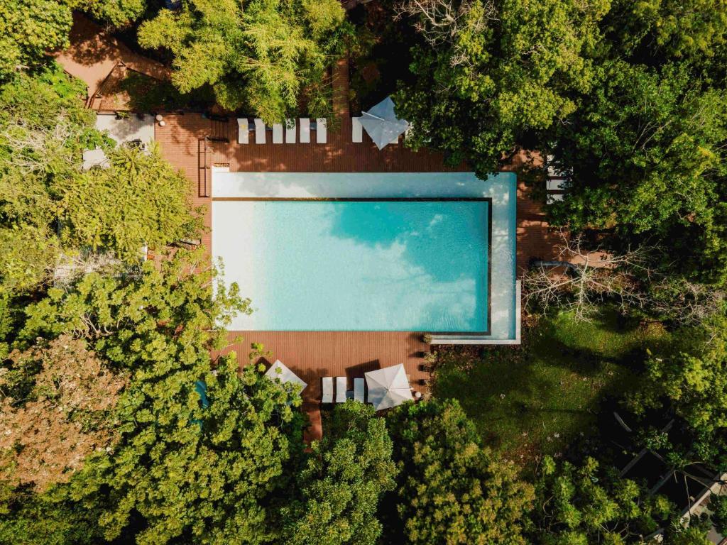 伊瓜苏港伊瓜苏美居伊露酒店的享有树林中游泳池的顶部景致