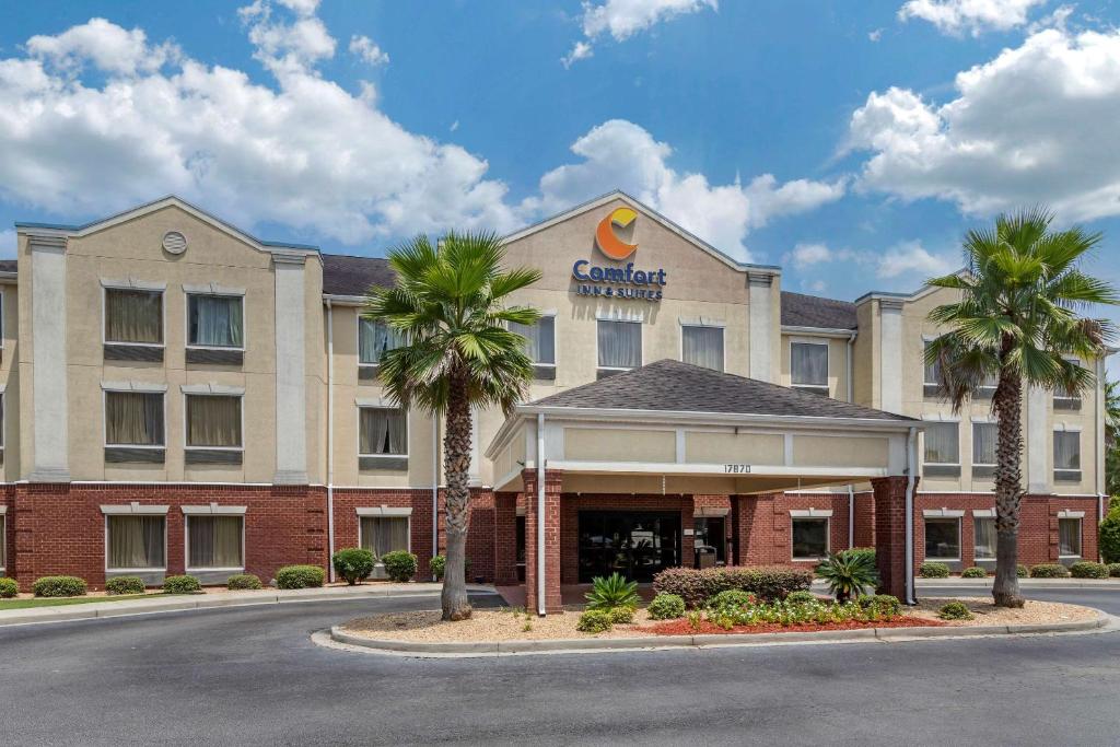 斯泰茨伯勒Comfort Inn & Suites Statesboro - University Area的棕榈树酒店前方的 ⁇ 染