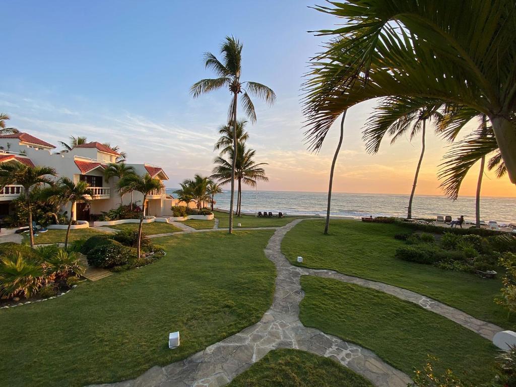 喀巴里特Cabarete Beachfront Condos at Nanny Estate C-5的穿过棕榈树和海洋的度假胜地的步行道