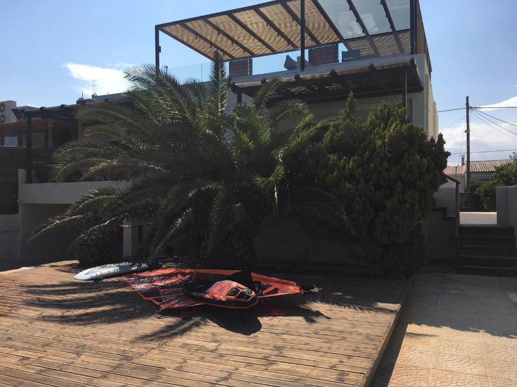 阿特米达Windsurfing seaside apartment Artemida的地面上有一棵棕榈树和冲浪板的房子