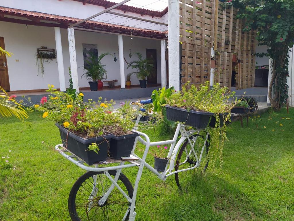 卡罗莱纳Pousada Águas da Chapada的停在草上放着植物的自行车