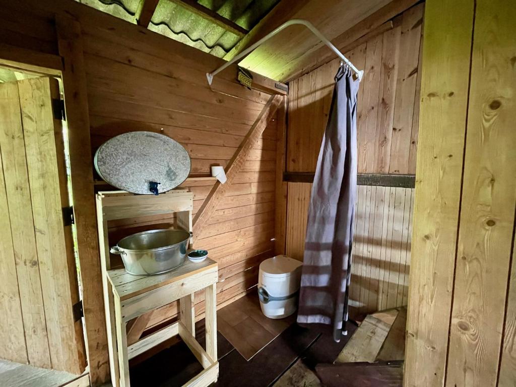 阿卢克斯内Laivu māja uz Alūksnes ezera/ Boat house on a Lake的小木屋内的小浴室设有水槽