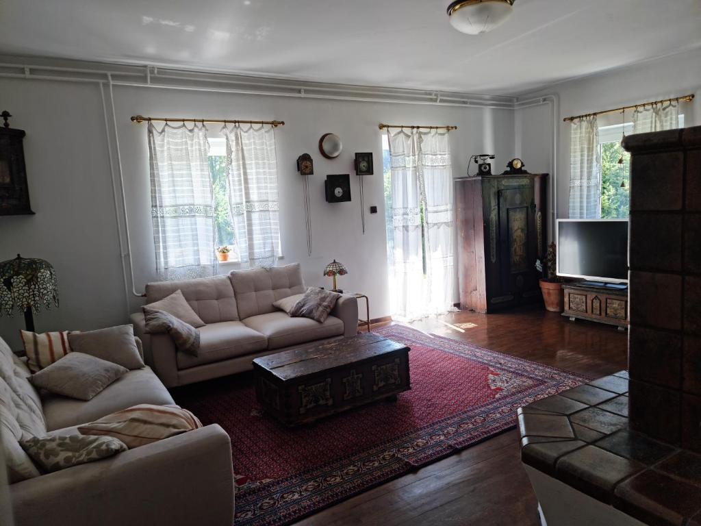 克拉尼斯卡戈拉Holiday House Jasna的带沙发和电视的客厅
