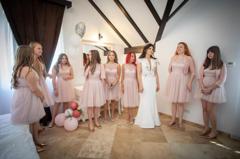 ZăbraniPENSIUNEA ALEXANDRA的一群身着粉红色连衣裙的女人站在一间房间里