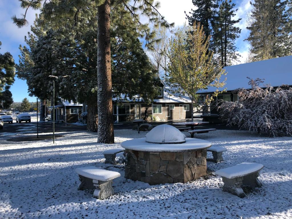 大熊湖Bay Meadows Resort的在雪覆盖的公园里野餐桌和长椅