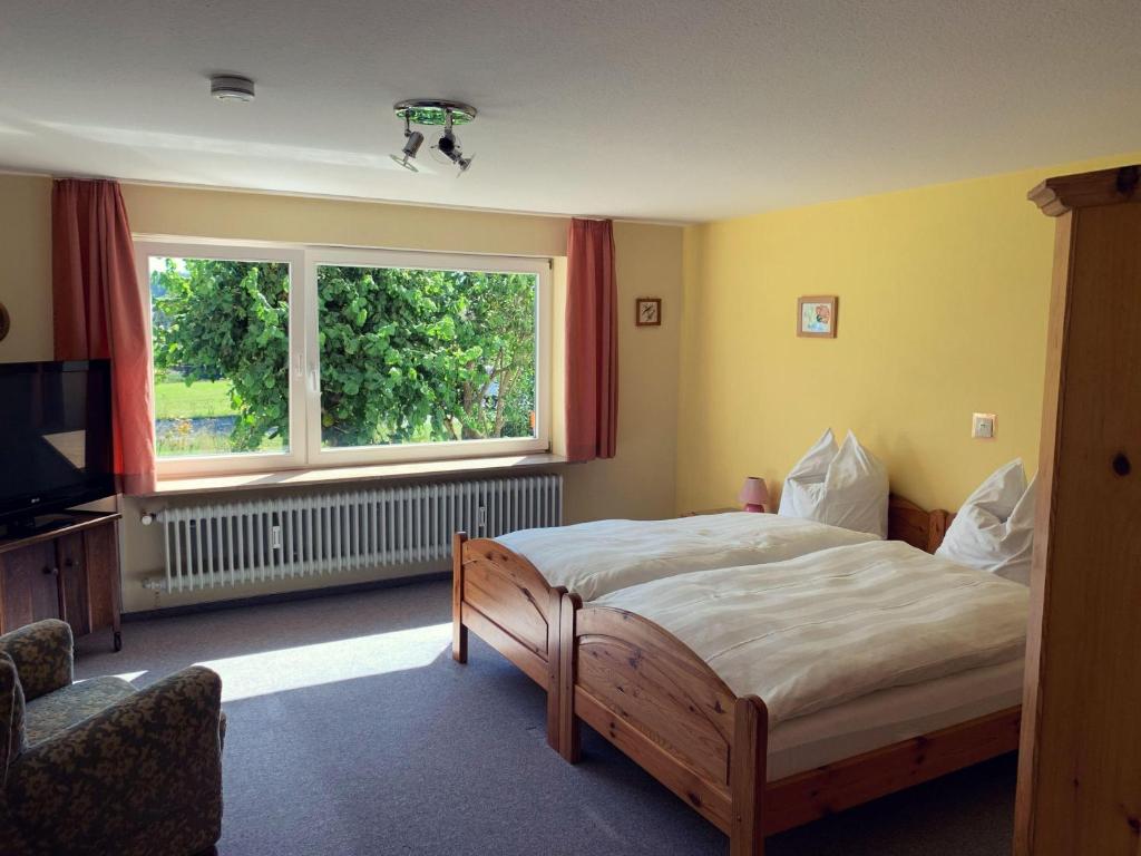 马克多夫FeWo25-Zimmer-am-Bodensee的一间卧室设有一张床和一个大窗户