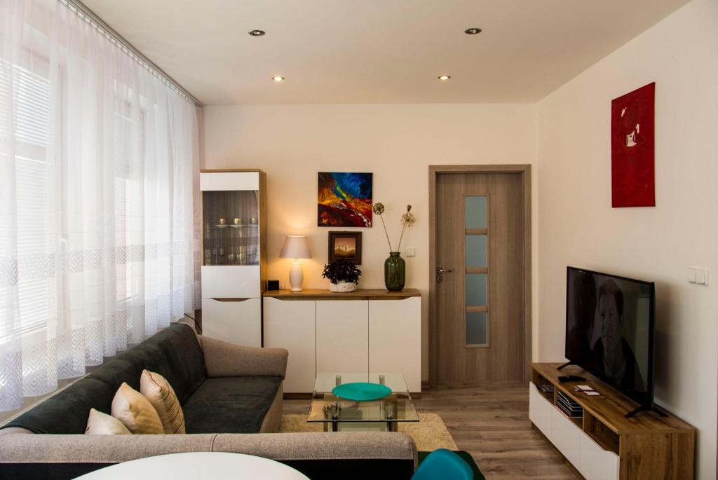 利普托斯基米库拉斯MAYTEX - ubytovanie v 46m2 apartmáne s balkónom的带沙发和电视的客厅