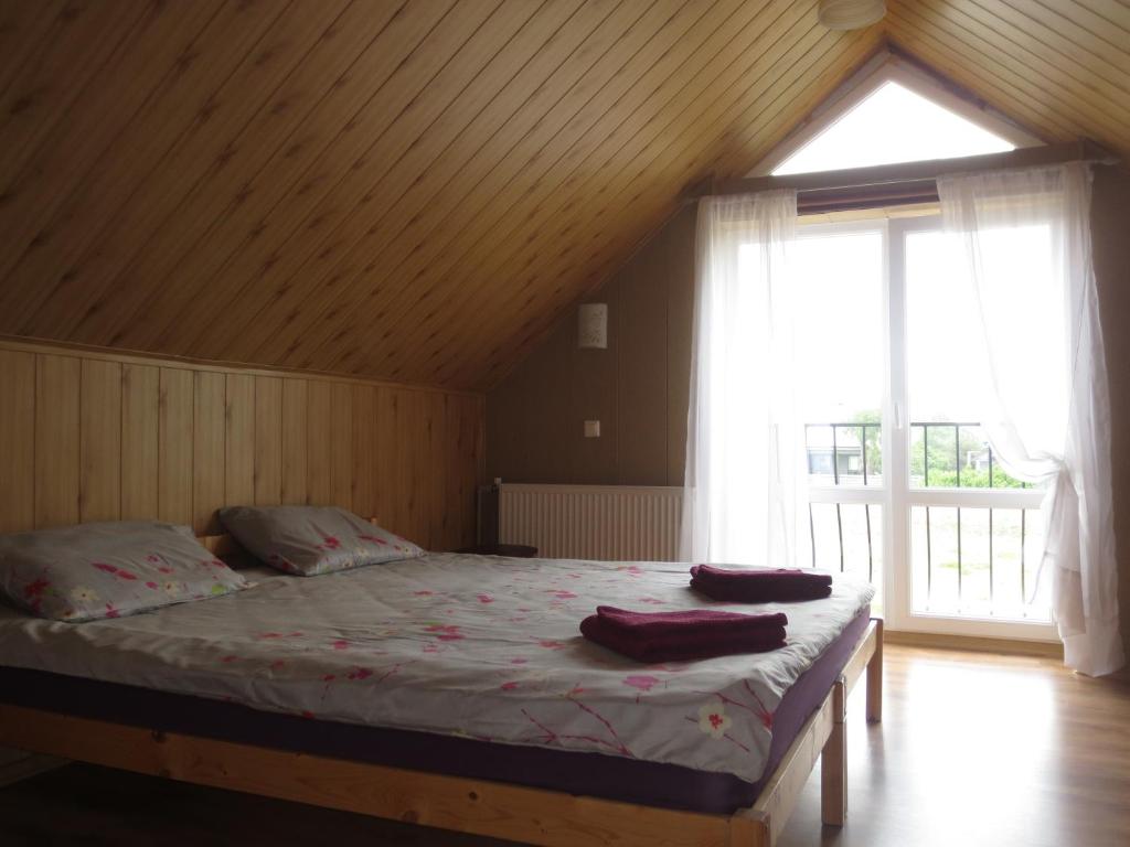 帕维洛斯塔Jūras sāga的一间卧室设有一张床和一个大窗户