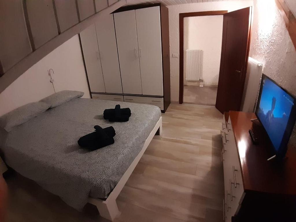 蒙克拉西科Ampia Mansarda a Dimaro in Val di Sole的一间卧室配有一张床和一台平面电视