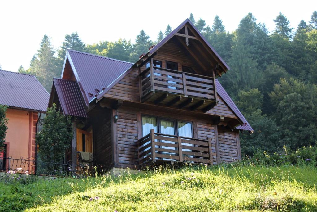 亚列姆切Cottage "Karpatske Shale"的一座位于山丘上的小木屋,后面有树木