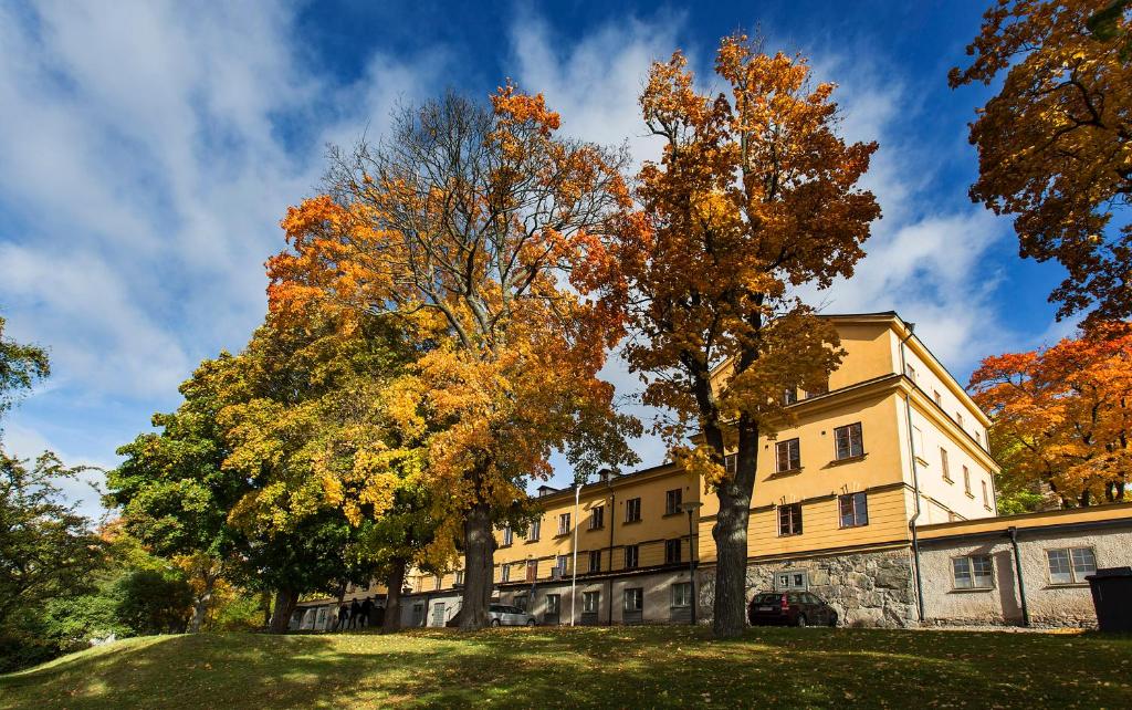 斯德哥尔摩瑞典旅游的查普曼和思科普索尔门国际青年旅舍的建筑物前草上的一棵树