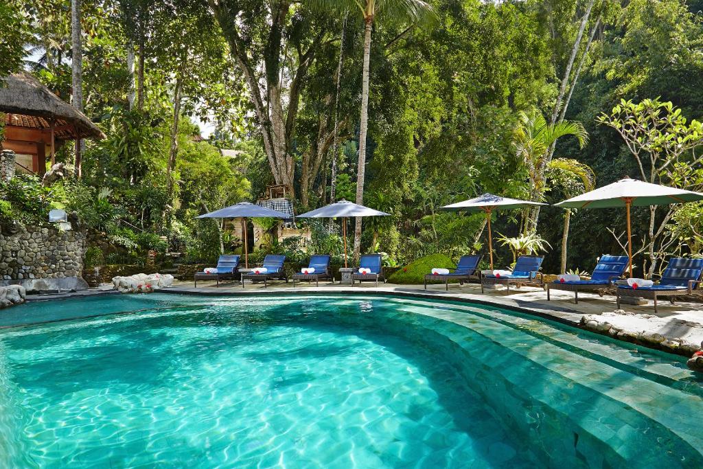 乌布缇伽姆普温泉酒店的一个带蓝色椅子和遮阳伞的游泳池
