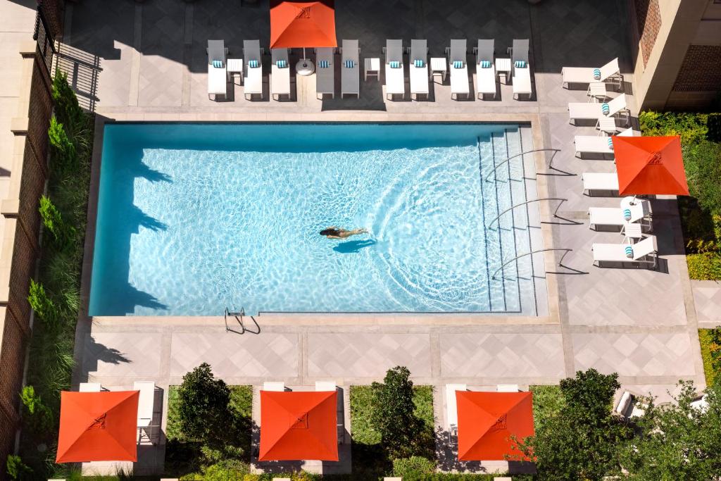达拉斯华威梅尔罗斯酒店的游泳池的顶部景色,有人游泳