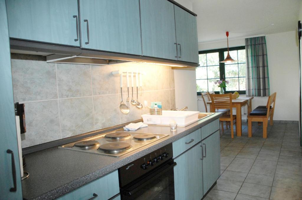 Neu KlockenhagenFerienwohnung "Rostock"的厨房配有蓝色橱柜和炉灶烤箱。