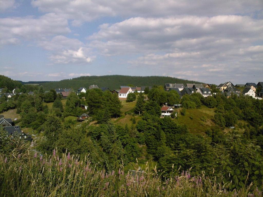 劳沙Waldblick - a48825的山丘上的一个村庄,有房子和树木