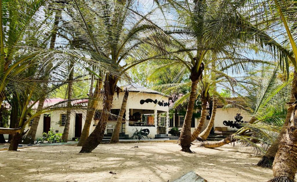 SanyangJungle Beach Resort的一群棕榈树在房子前面