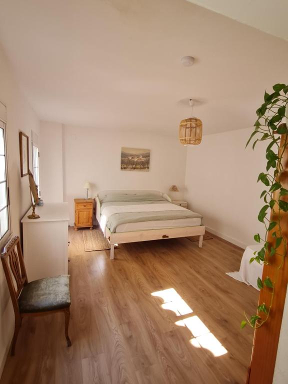 埃布罗河畔莫拉River Ebro Apartments的一间卧室配有一张床,铺有木地板
