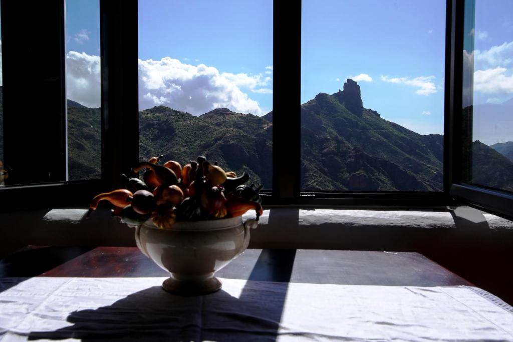 克鲁兹·德·特赫达La Ventana del Bentayga的窗前的花瓶和植物