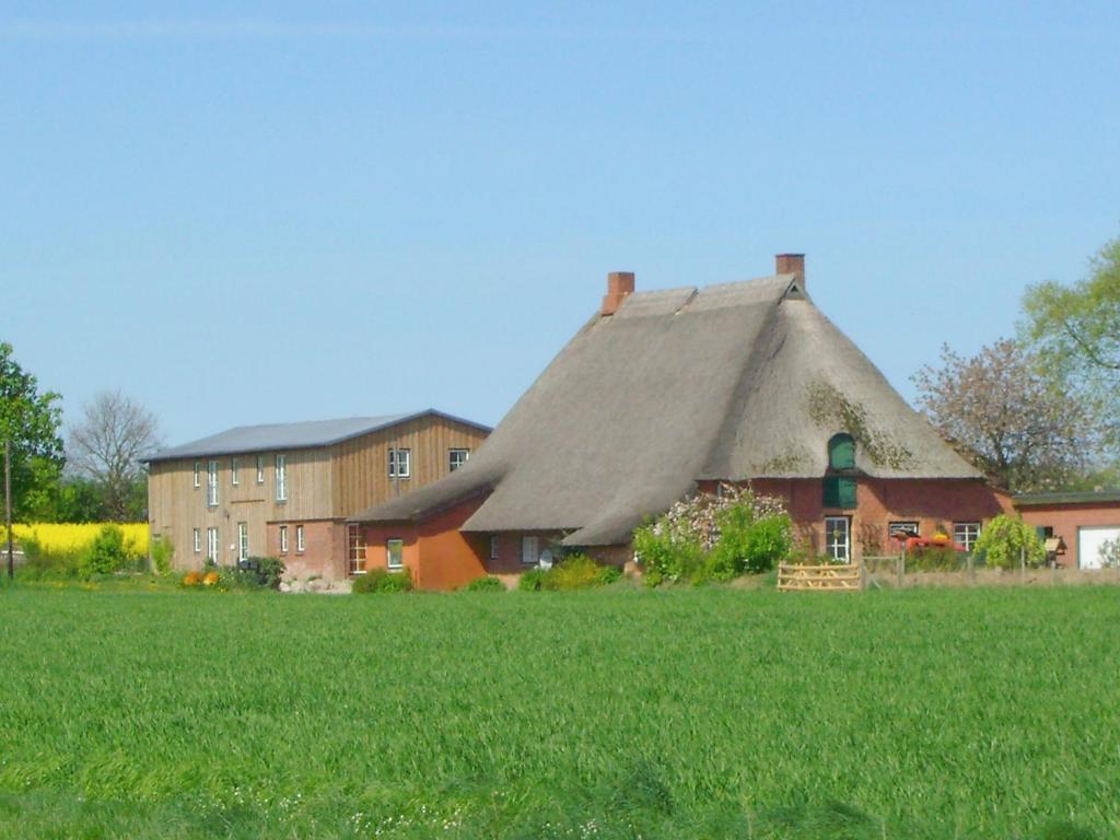 Riepsdorf"Hof Triangel - Whg 3" - Bauernhofurlaub的田野上带茅草屋顶的大房子
