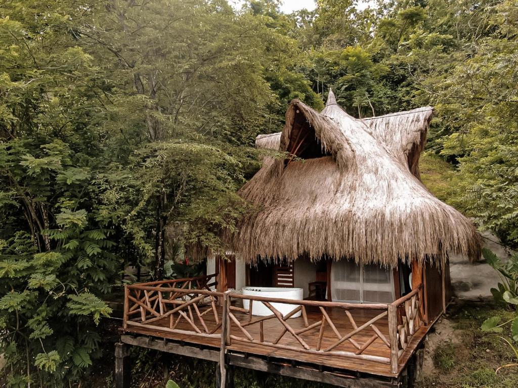 Las MercedesRefugio Monte Oscuro的树林中带茅草屋顶的小小屋