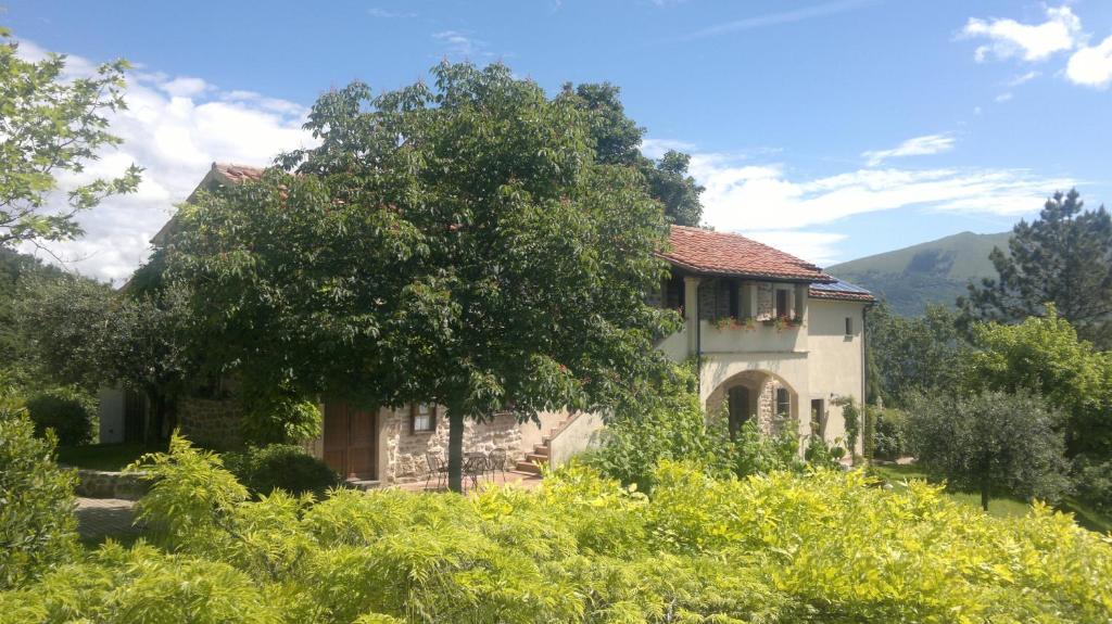瓜尔多塔迪诺Casale degli ulivi的前面有一棵树的房子