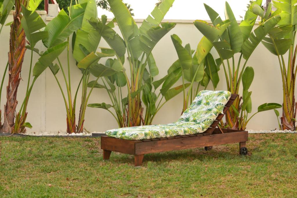 多列毛利诺斯Villa Isabelita的坐在草丛中一些植物旁的椅子