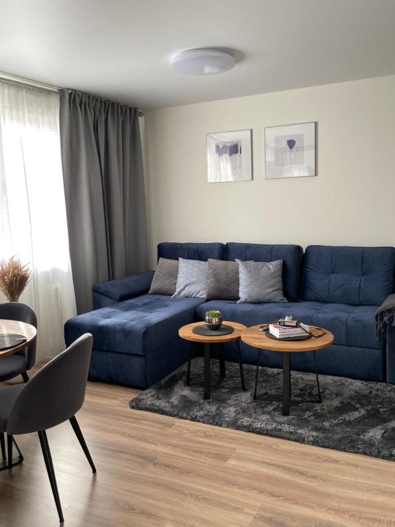 德鲁斯基宁凯Forest Studio的客厅配有蓝色的沙发和2张桌子