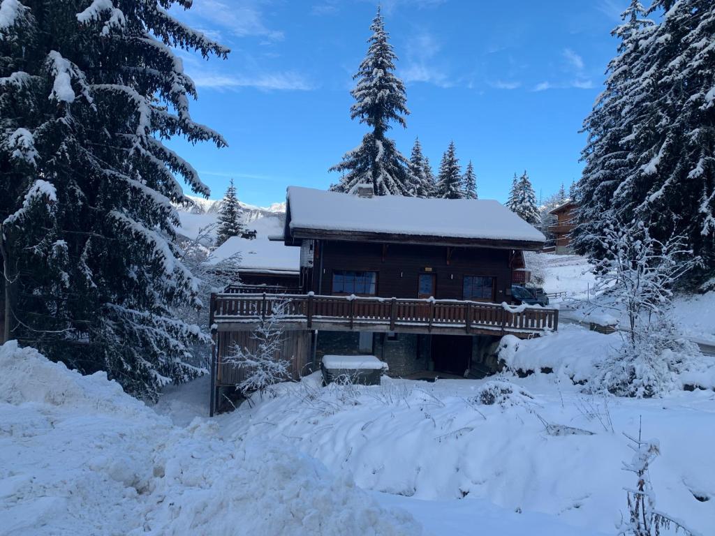 拉塔尼亚chalet clémentine的雪地里的小木屋,有雪覆盖的树木