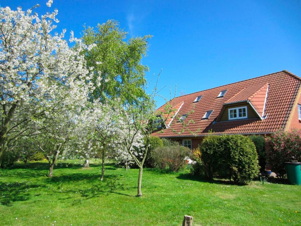 普特加登Ferienhof Böhnke Nr4的院子里有树木的红色屋顶的房子