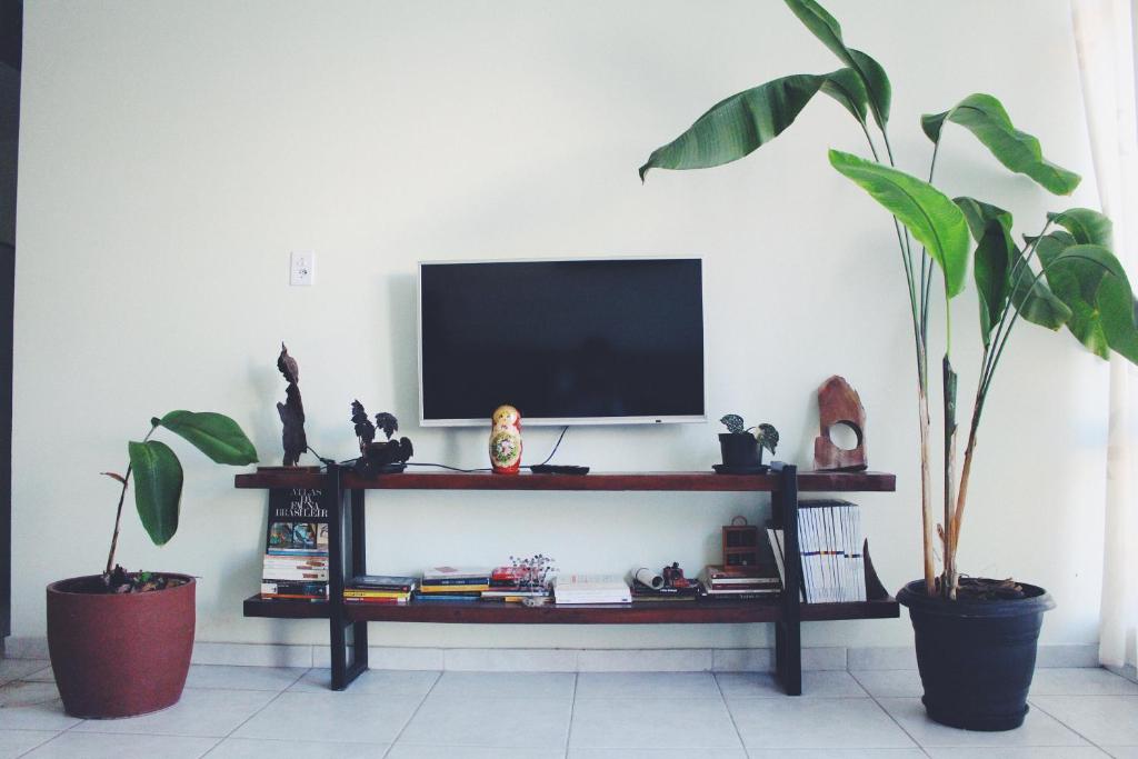 伊塔蒂亚亚Paradise Hostel e Flats的一间客厅,配有两株盆栽植物和一台电视