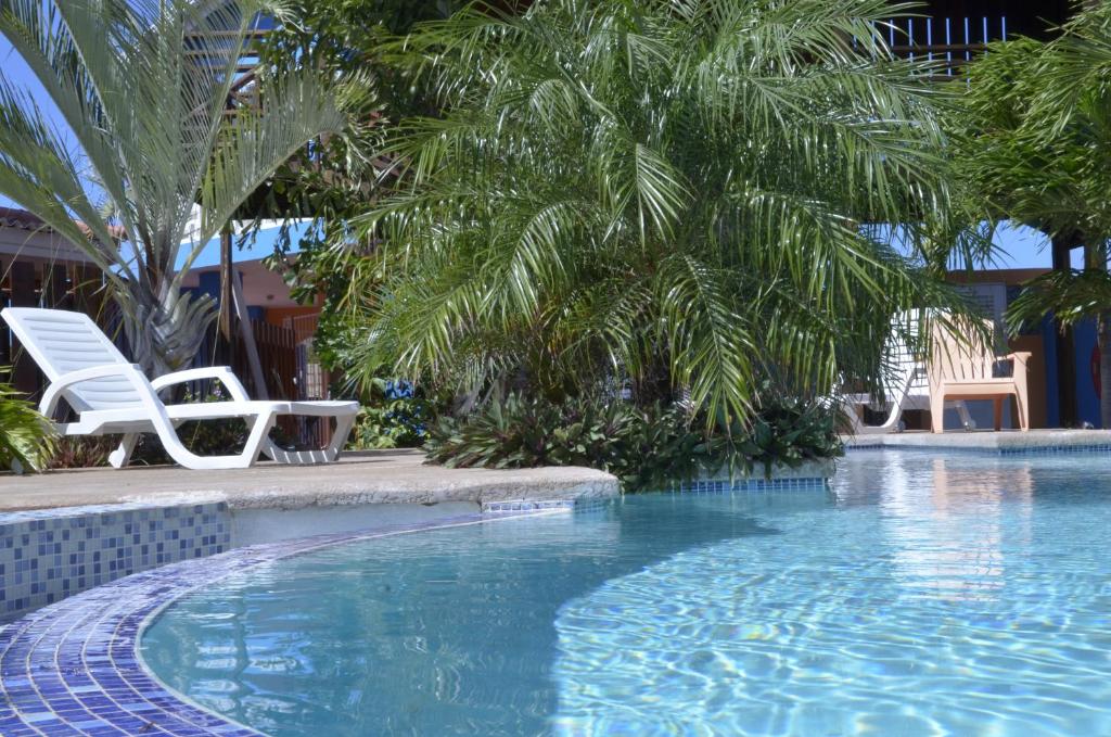 Sabana Westpunt诺斯克鲁塞罗公寓酒店的一个带两把椅子的游泳池,一个棕榈树