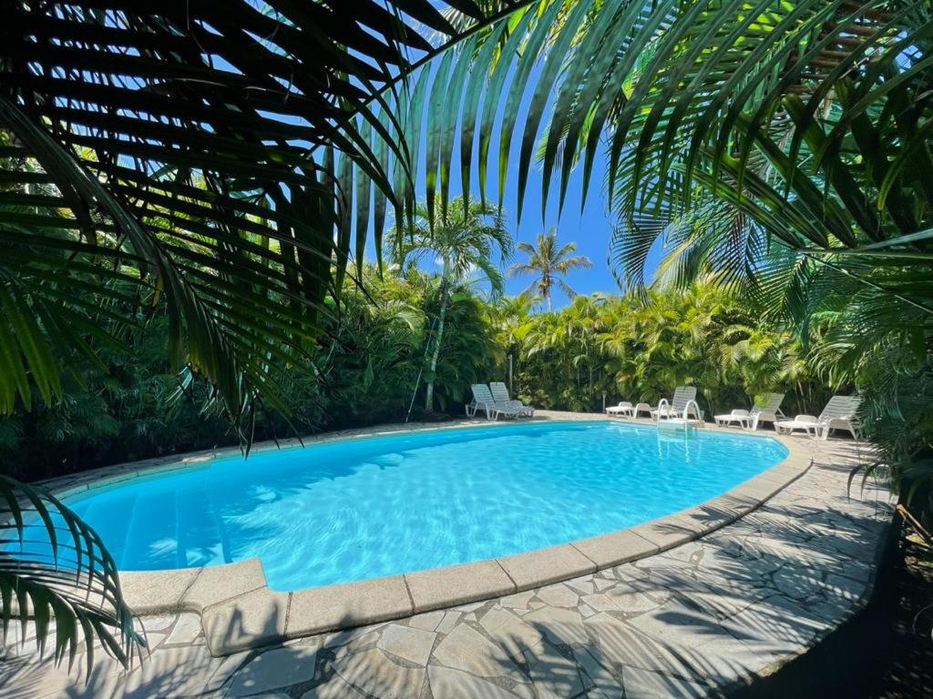 圣罗斯Cas'à Willy的一个带椅子和棕榈树的大型游泳池