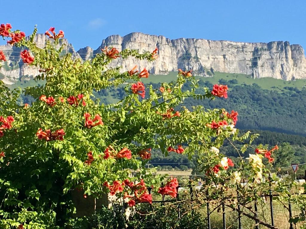 维拉桑纳·德·梅纳VACACIONES VILLASANA的山前有红花的树