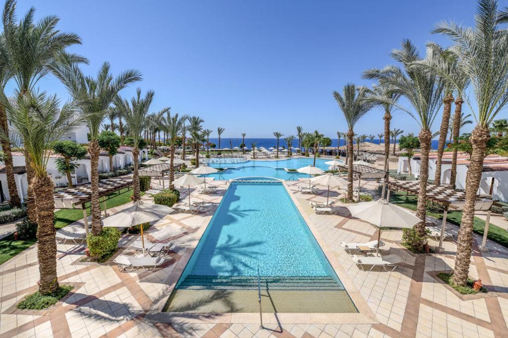 沙姆沙伊赫贾兹法纳拉度假酒店的棕榈树度假村泳池的空中景致
