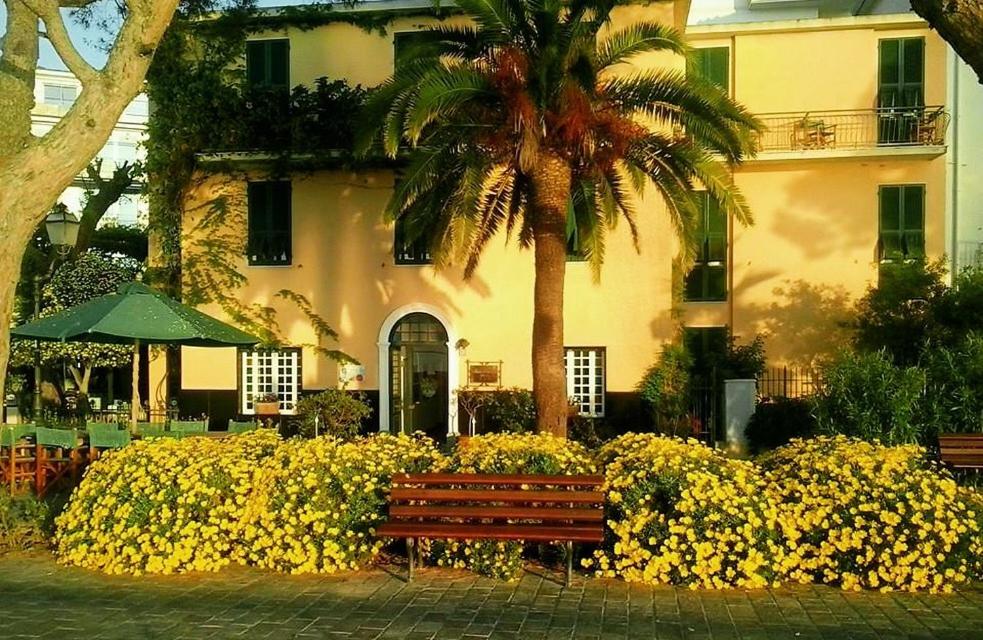 阿拉西奥布利瓦吉酒店的黄色花房前的公园长凳