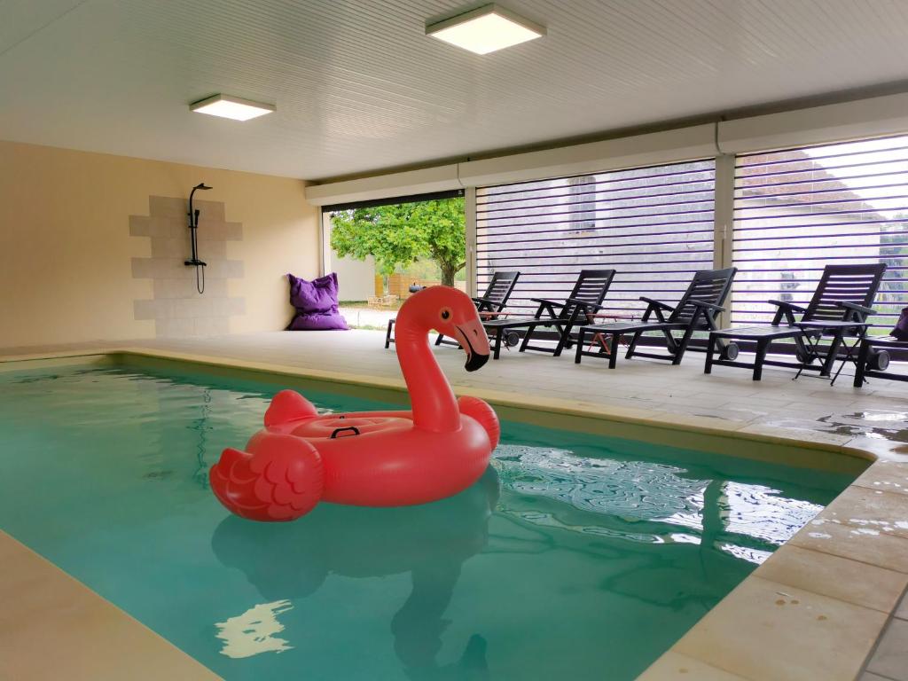 SaugirardDomaine des Bois Argentés的游泳池,水中有一个红色橡皮鸭