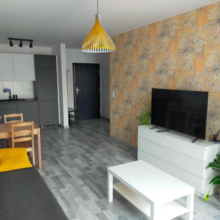 克拉科夫APARTAMENT HELSINKI的客厅配有电视、沙发和桌子