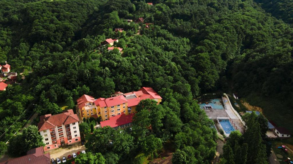 乔阿久拜AIDA Hotel spa & tratament的森林中间房屋的空中景观