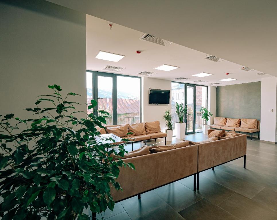 第比利斯多喜酒店的带沙发和大型植物的客厅
