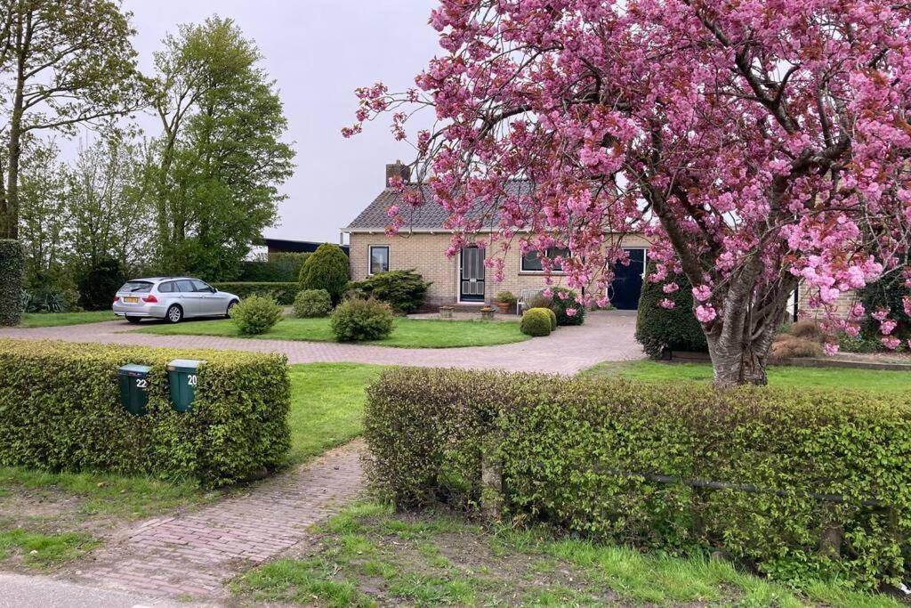 EchtenTsjûke en March, Gezellig vakantie verblijf.的一座房子,房子前有一辆汽车,有粉红色的花朵