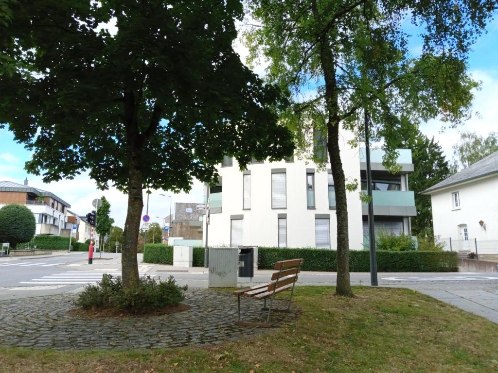 卢森堡Primeurs appartement haut standing de 85 m², Luxembourg-Kirchberg的坐在大楼前两棵树下的长凳