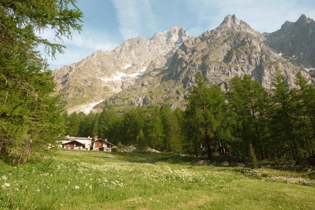 库马约尔Chalet Berlot的山地房子