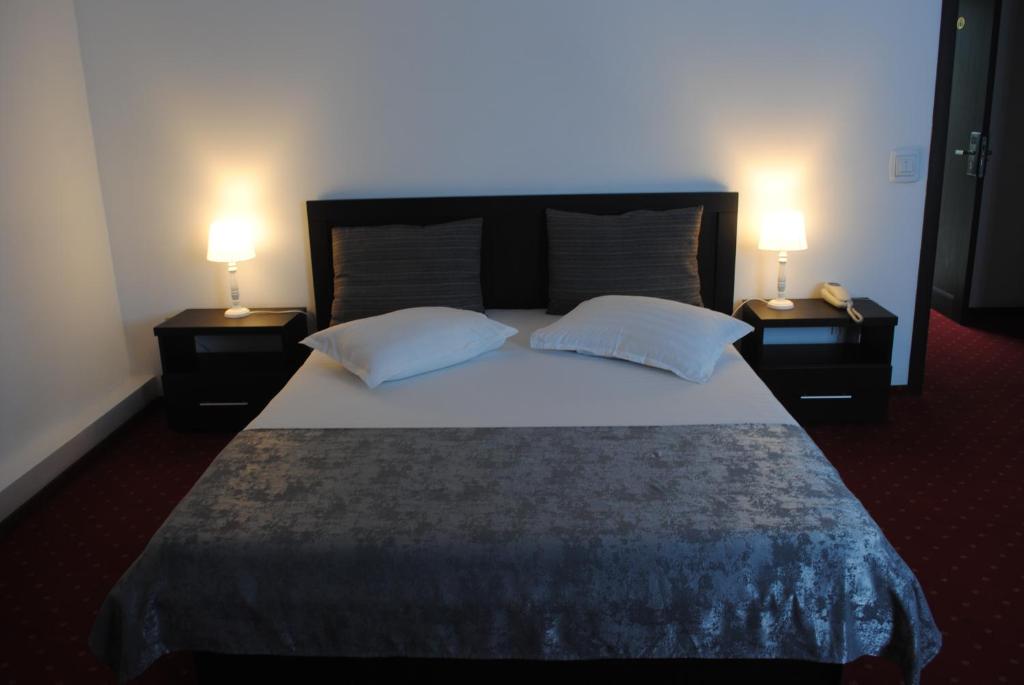 德罗贝塔-塞维林堡科罗娜酒店的一间卧室配有一张带2个床头柜的大床