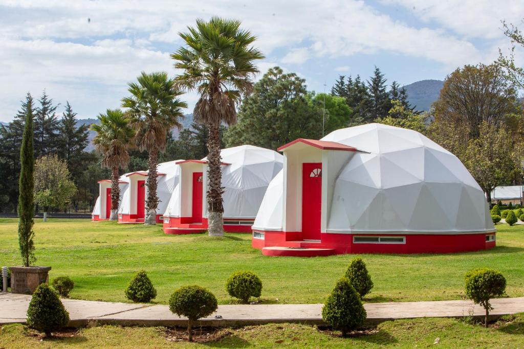 瓦斯卡坎波Hotel & Glamping Huasca Sierra Verde的棕榈树田野上的一排圆顶帐篷