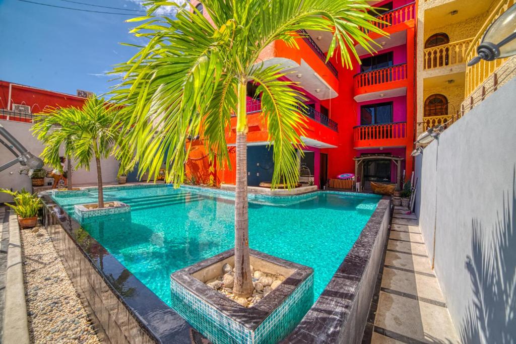 锡瓦塔塔内霍Zihua Mia Hotel Boutique的一座建筑前的游泳池,里面种着棕榈树