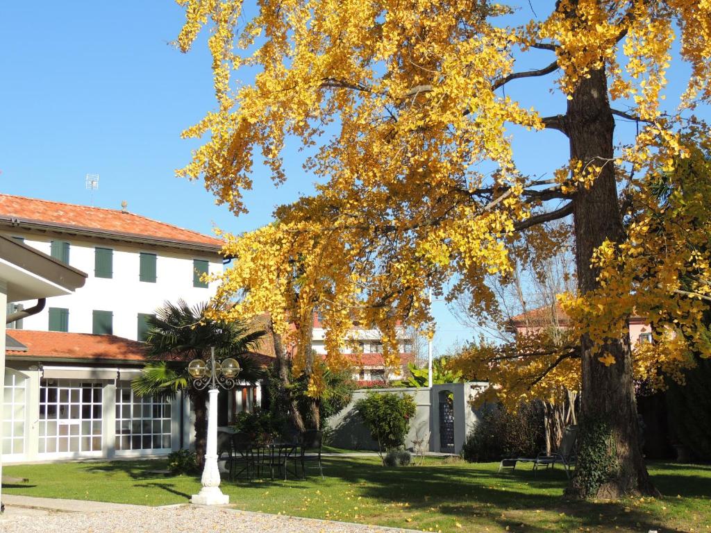 RonchisGinkgo Guest House的建筑物前有黄叶的树