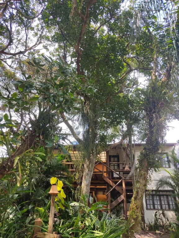 瓜尔达恩巴Nalua Guest House的院子里有树的房子