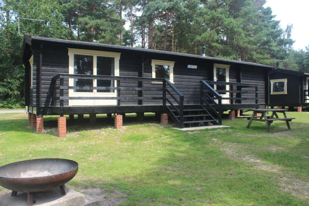 BransgoreAvon Tyrrell Outdoor Activity Centre的前面设有一张野餐桌的黑色小屋